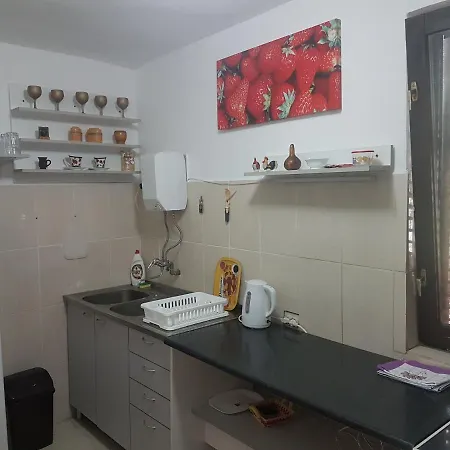 Przic House Apartament Negotin