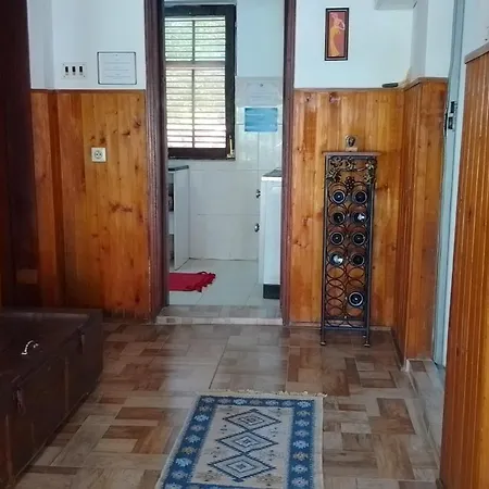 Apartment Przic House Negotin