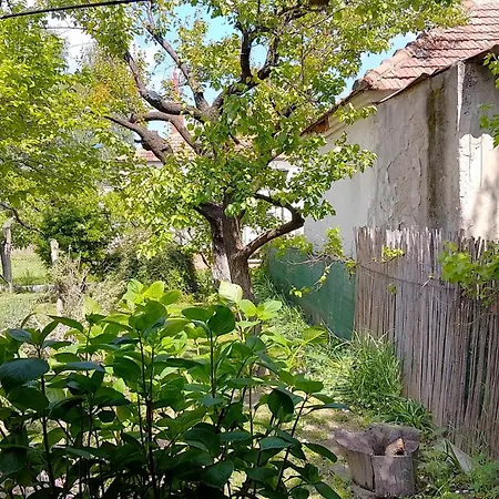 Przic House Apartament