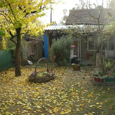 Przic House Apartment *