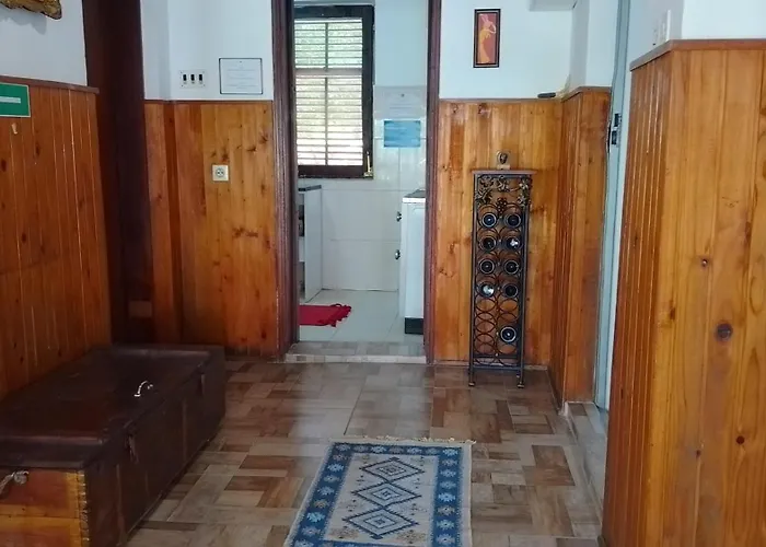 Apartment Przic House Negotin