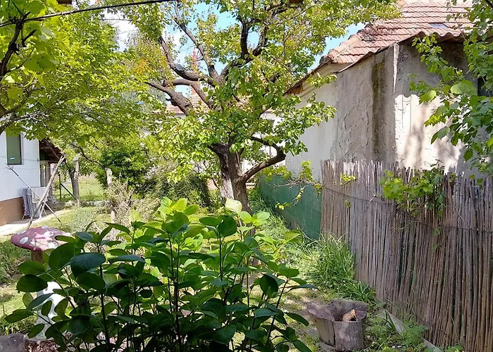 Przic House Apartment