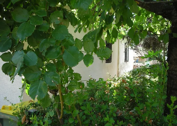 Apartment Przic House Negotin