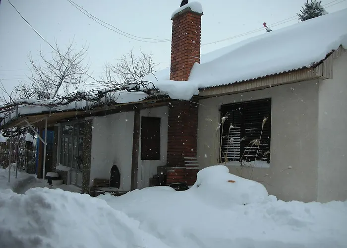 Przic House Apartment *