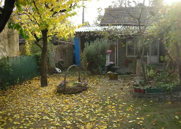 Przic House Apartment *